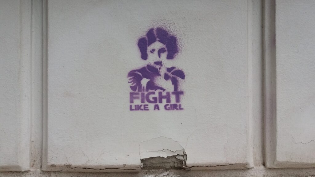 Princess Leia fight like a girl wall paint